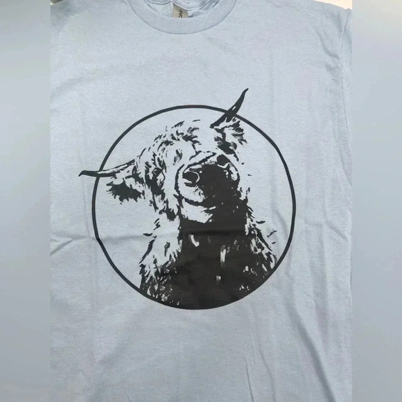 HIGHLAND‎ COW T-Shirt Light Blue Various Sizes NEW!! - Picture 4 of 5